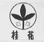 桂花