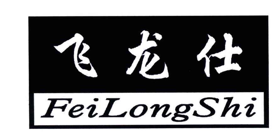 飞龙仕