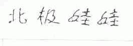 北极娃娃