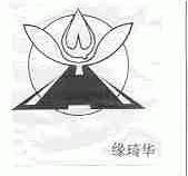 缘琦华