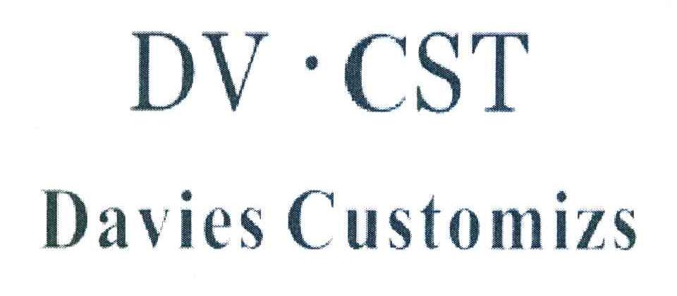 DV&middot;CST DAVIES CUSTOMIZS