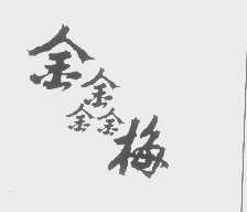 金鑫梅