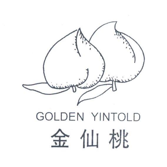 金仙桃;GOLDEN YINTOLD