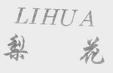 梨花