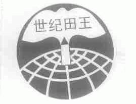 世纪田王