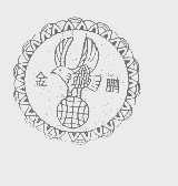 金鹏