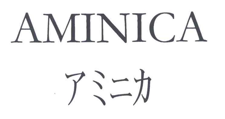 AMINICA