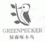 绿森啄木鸟;GREEN PECKER