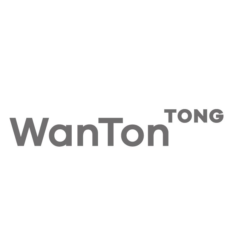 WANTON TONG