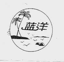蓝洋