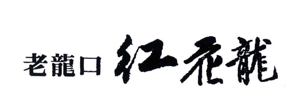 老龙口红花龙