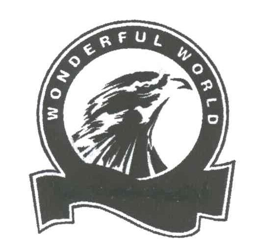 WONDERFUL WORLD