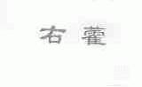 右藿