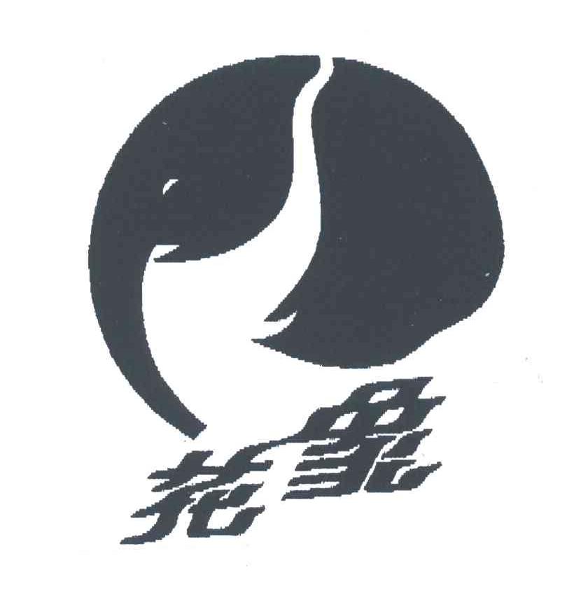 花象