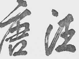 唐汪