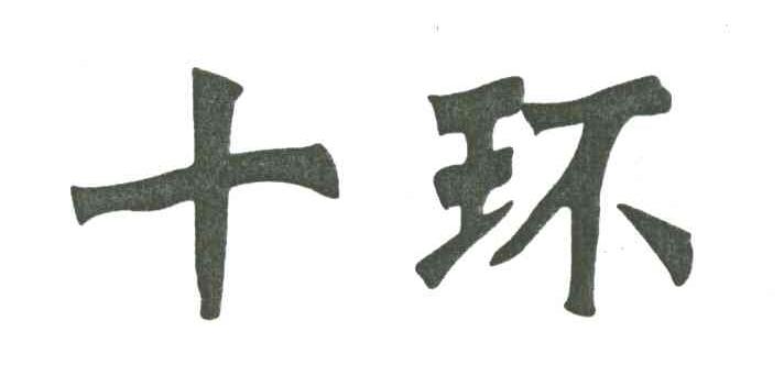 十环
