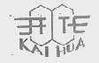 开化