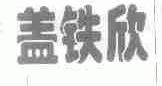 盖铁欣