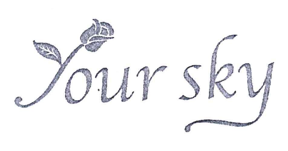 YOUR SKY