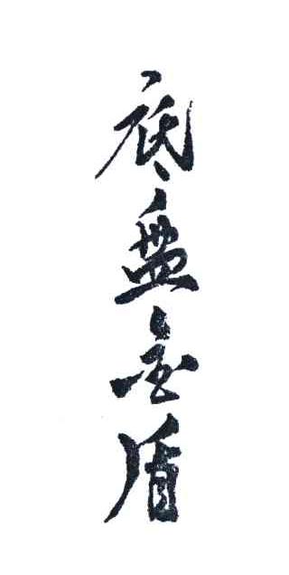 底盘金盾