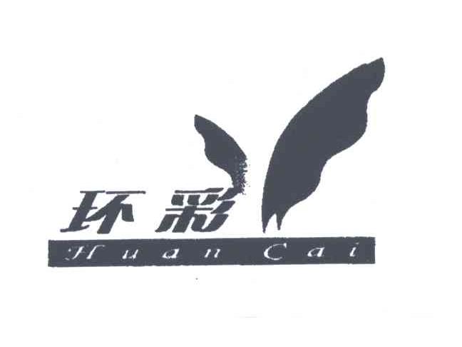 环彩及图