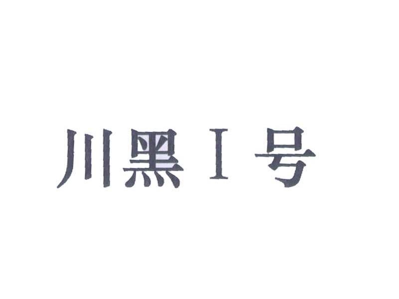 川黑I号