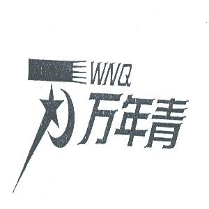 万年青;WNQ