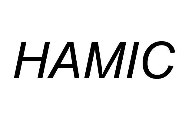 HAMIC