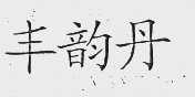 丰韵丹