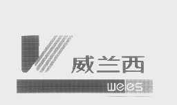威兰西   WELES