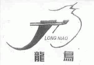龙鸟