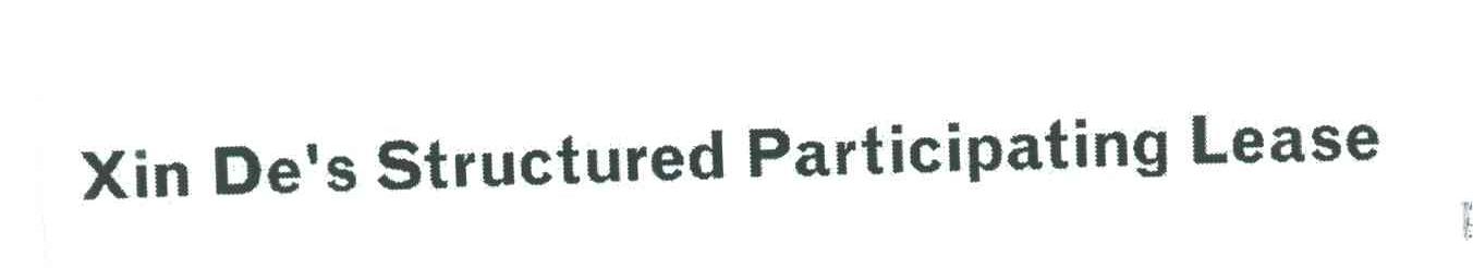 XIN DES STRUCTURED PARTICIPATING LEASE