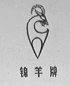 锦羊