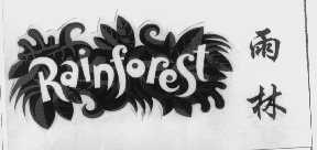 雨林   RAINFOREST