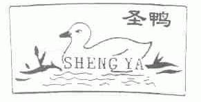 圣鸭