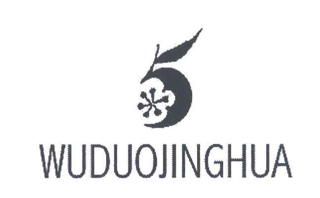 WUDUOJINGHUA;5