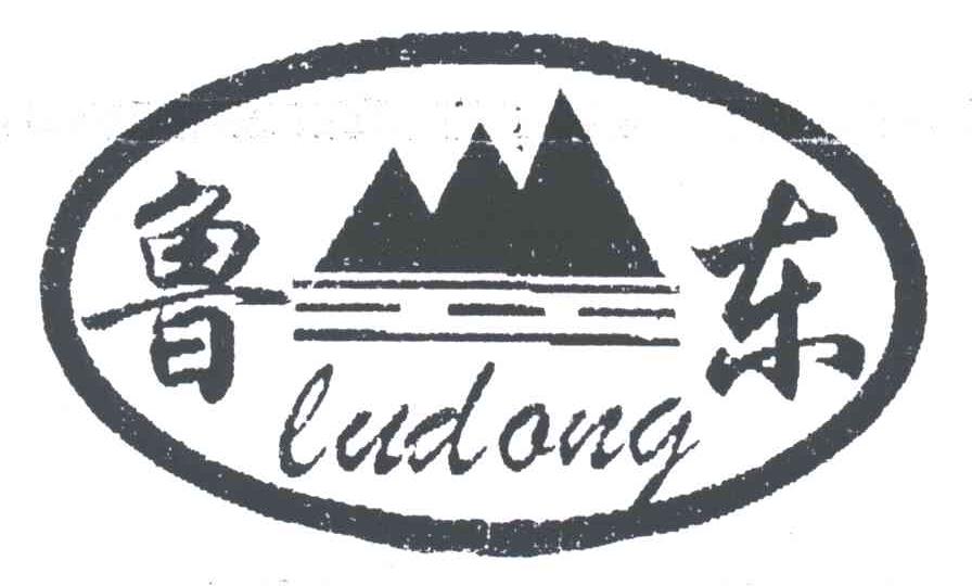 鲁东;LU DONG