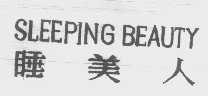 SLEEPING BEAUTY   睡美人