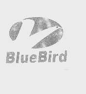 BLUEBIRD