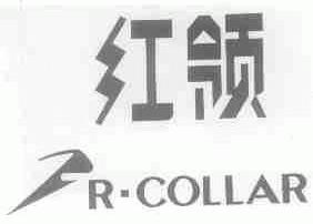 红领;R.COLLAR