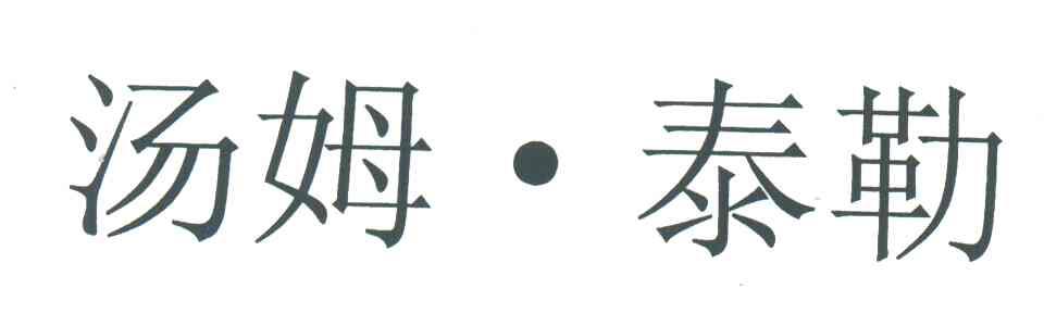 汤姆泰勒