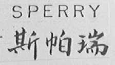 SPERRY  斯帕瑞
