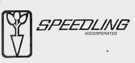 SPEEDLING