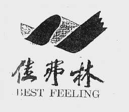 佳弗林   BEST FEELING