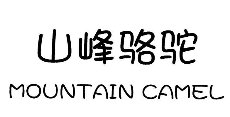 山峰骆驼 MOUNTAIN CAMEL