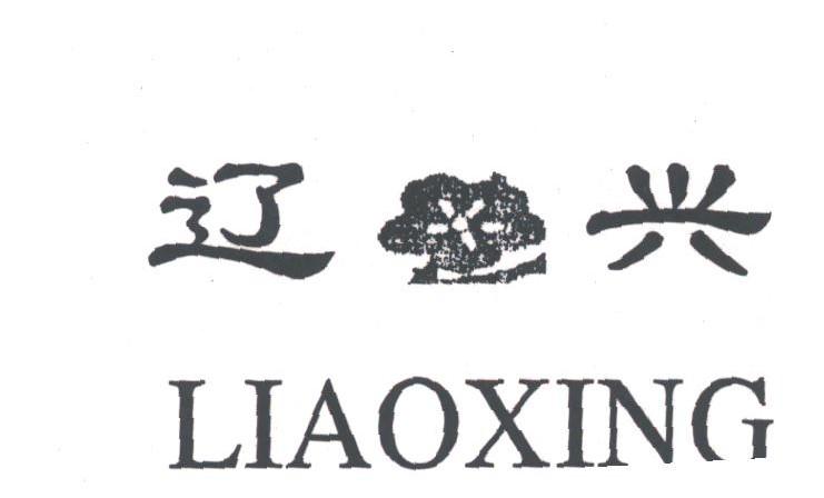 辽兴
