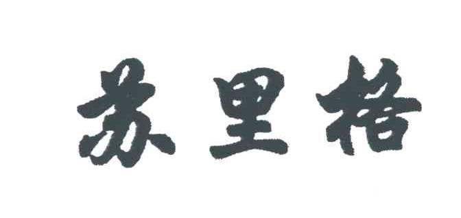 苏里格