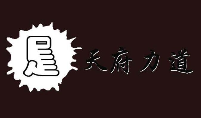 天府力道