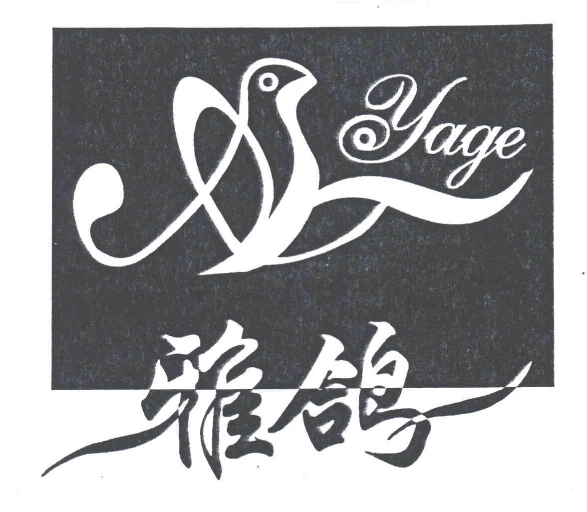 雅鸽
