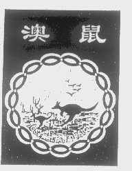 澳鼠